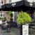 Bao Asian Kitchen,