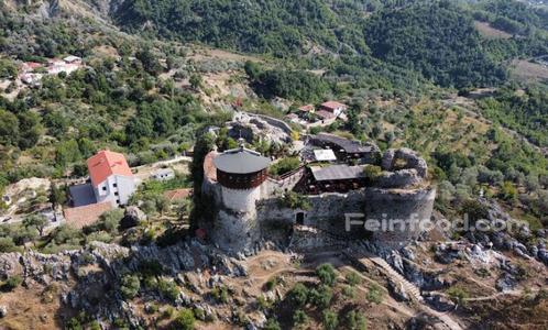 Kalaja e Petrelës, , Kalaja e Petrelës