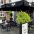 Bao Asian Kitchen