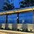 Oyster restaurant