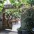 Odas Garden